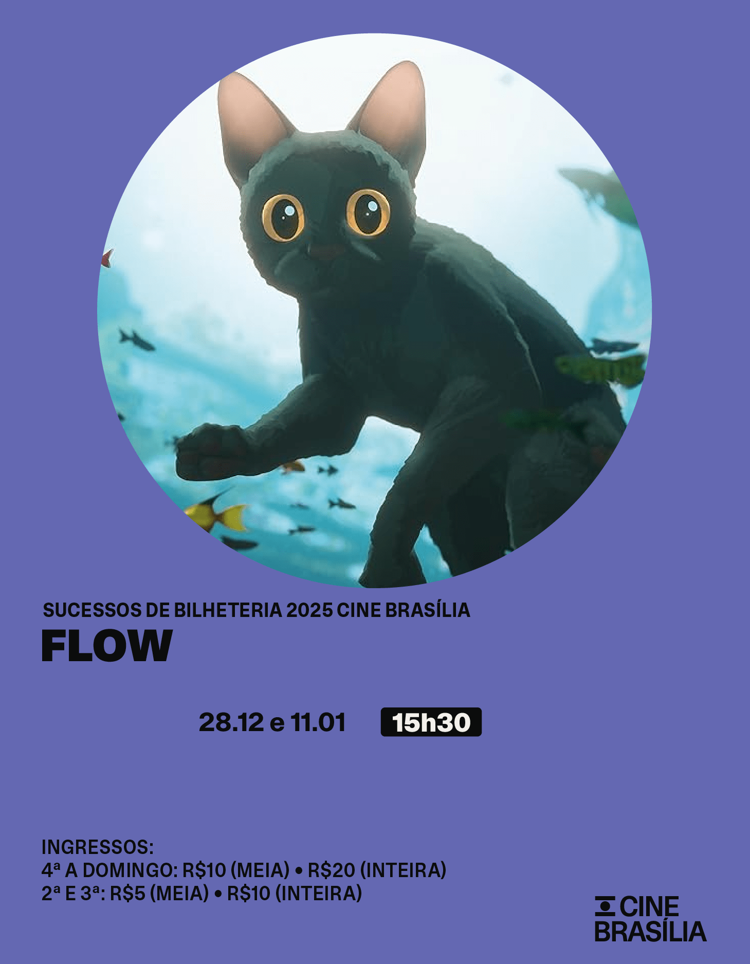 MostraSucessos-WEB_Mobile-CineBrasilia-Agencia-Um-Nome-8