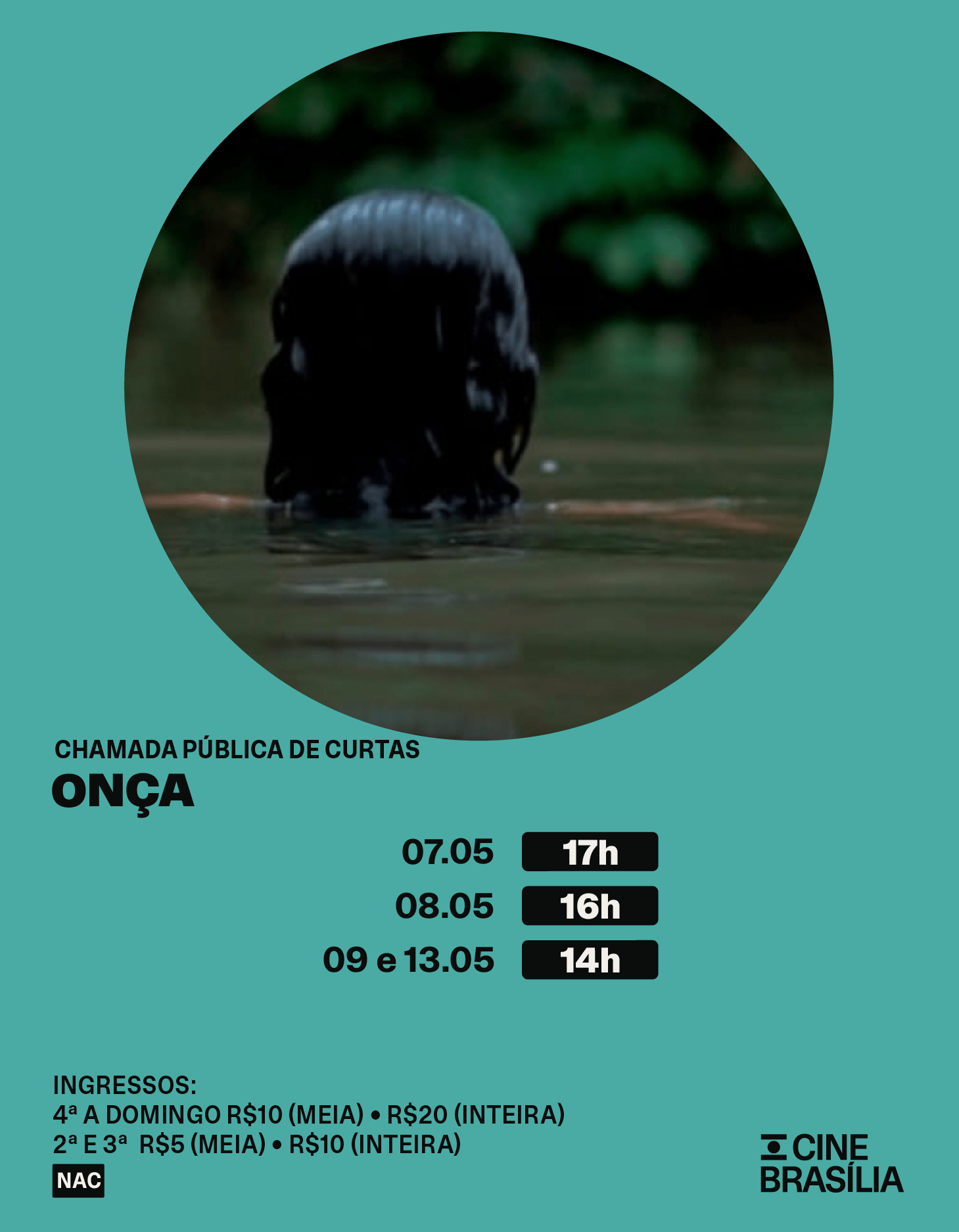 Prog07a13-web_Mobile-CineBrasilia-Agencia-Um-Nome-5