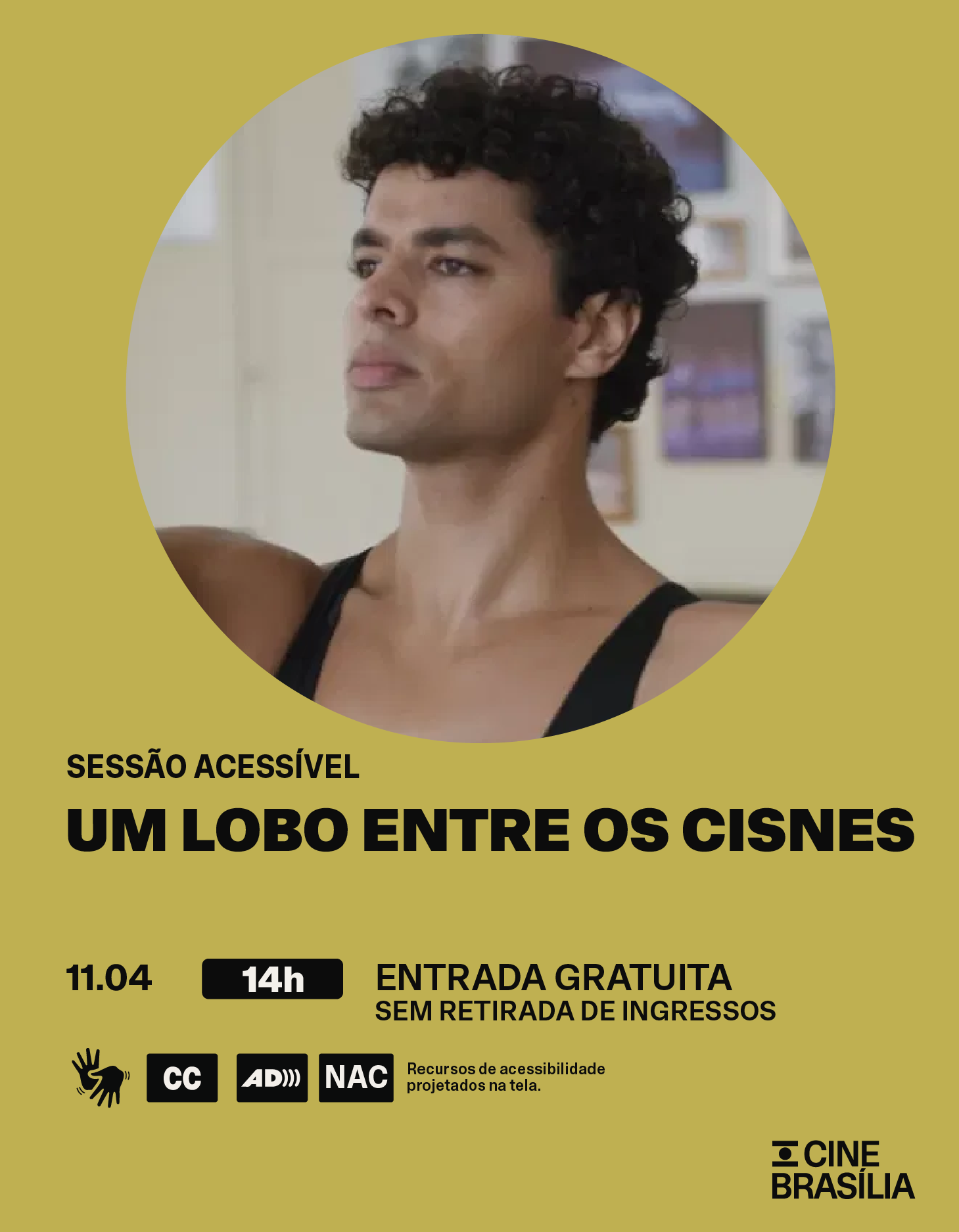 Prog09a15-web_Mobile-CineBrasilia-Agencia-Um-Nome-6